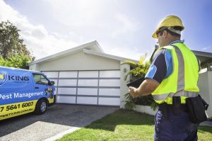 Pre-Purchase Pest and Building Inspection Gold Coast